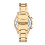 Erkek Kol Saati Momentus-CC102G-02SG