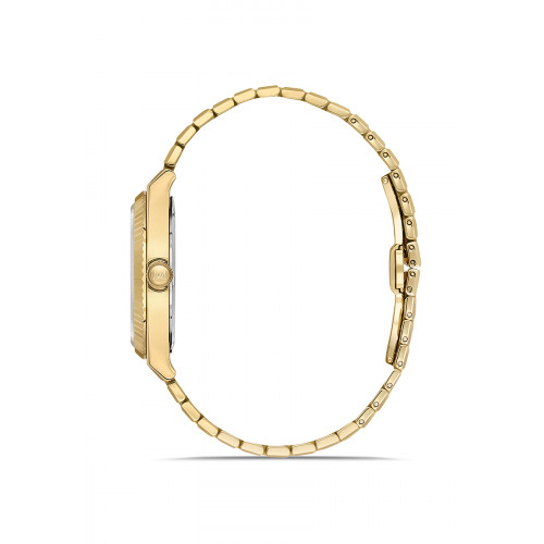 Momentus Erkek Kol Saati CR264G-08SG