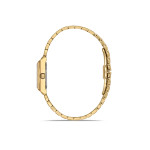 Momentus Kadın Kol Saati CS264G-15SG