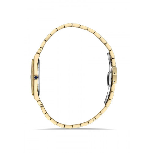 Kadın Kol Saati Momentus-CS346G-08SG