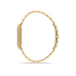 Kadın Kol Saati Momentus-CS370G-02SG