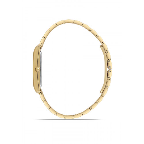 Kadın Kol Saati Momentus-CS370G-02SG