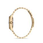 Momentus Kadın Kol Saati CW132G-15SG