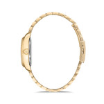 Kadın Kol Saati Momentus-CW134G-08SG