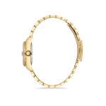 Momentus CW135G-02SG Kadın Kol Saati