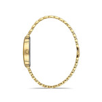 Momentus Kadın Kol Saati CW254G-15SG