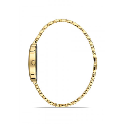 Momentus Kadın Kol Saati CW254G-15SG