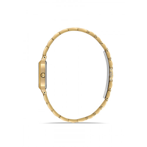 Momentus Kadın Kol Saati - CW321G-02SG