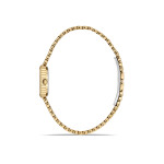 Momentus Kadın Kol Saati CW324G-09SG