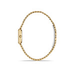 Momentus Kadın Kol Saati CW324G-15SG