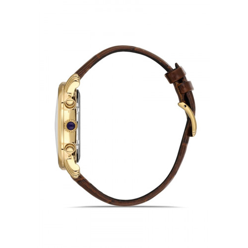 Hislon Erkek Kol Saati DT204G-02KG