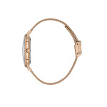 Kadın Kol Saati Freelook-FL.1.10349.3