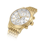 Hislon Erkek Kol Saati MS201G-02SG