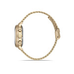 Hislon QT142G-02SS Kadın Kol Saati