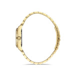 Momentus SS238G-08SG Kadın Kol Saati