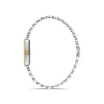 Kadın Kol Saati Momentus-SW273G-15TG