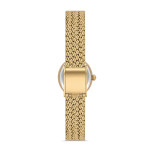 Momentus Kadın Kol Saati SW278G-15SG