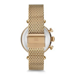 Momentus TC250G-02SG Kadın Kol Saati